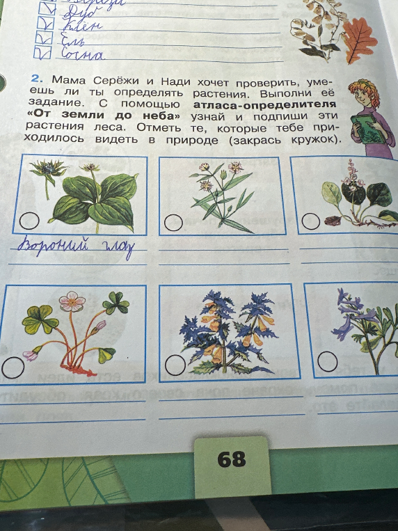 Мама Серёжи и Нади хочет проверить, умеешь ли ты определять растения. Выполни её задание. С помощью атласа-определителя «От земли до неба» узнай и подпиши эти растения леса. Отметь те, которые тебе приходилось видеть в природе (закрась кружок).