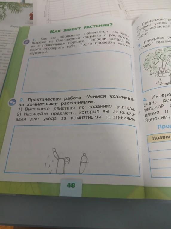 1. Как из зёрнышка появляется колосок? Вырежи из Приложения картинки и расположи их в правильном порядке. Попроси соседа по парте проверить тебя. После проверки наклей картинки.