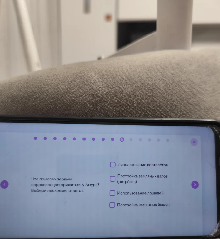 Что помогло первым переселенцам прижиться у Амура? Выбери несколько ответов.
