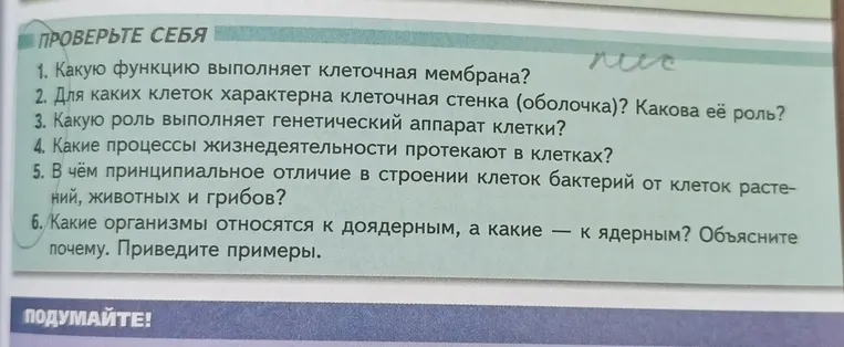 Какую функцию выполняет клеточная мембрана?