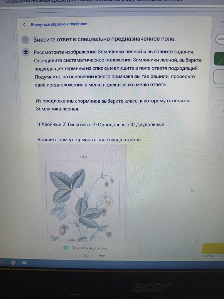 Рассмотрите изображение Земляники лесной и выполните задания. Определите систематическое положение Земляники лесной, выберите подходящие термины из списка и впишите в поле ответа подходящий. Из предложенных терминов выберите класс, к которому относится Земляника лесная.
