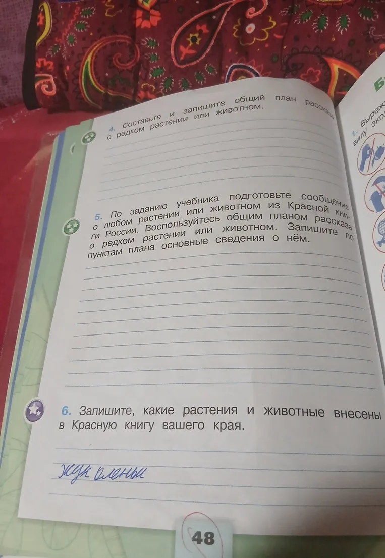 Составьте и запишите общий план рассказа о редком растении или животном.