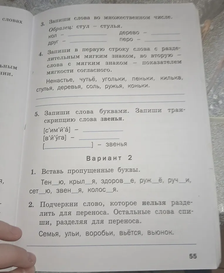 Вставьте пропущенные буквы в словах: Тен_ю, крыл_я, здоров_е, руж_ё, руч_и, сет_ю, звень_я, колос_я.