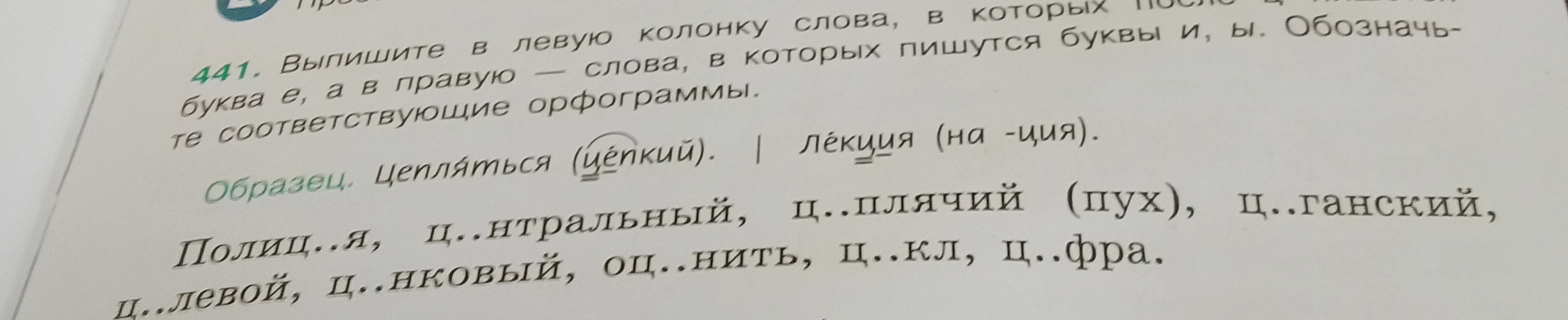Выпишите в левую колонку слова, в которых после Ц пишутся буквы Е, А, а в правую — слова, в которых пишутся буквы И, Ы. Обозначьте соответствующие орфограммы.