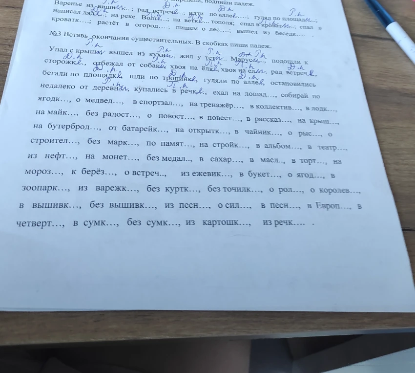 Вставь окончания существительных и укажи падеж.