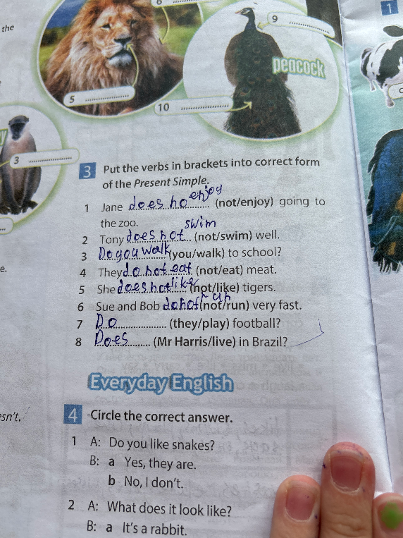 Put the verbs in brackets into correct form of the Present Simple.