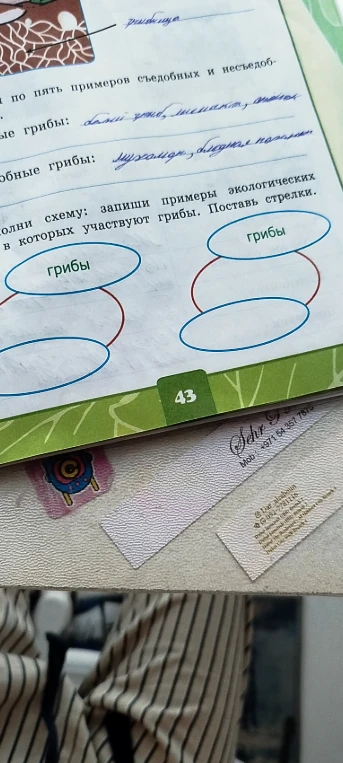Выполни задание: Приведи по пять примеров съедобных и несъедобных грибов. Заполни схему: запиши примеры экологических взаимодействий, в которых участвуют грибы. Поставь стрелки.