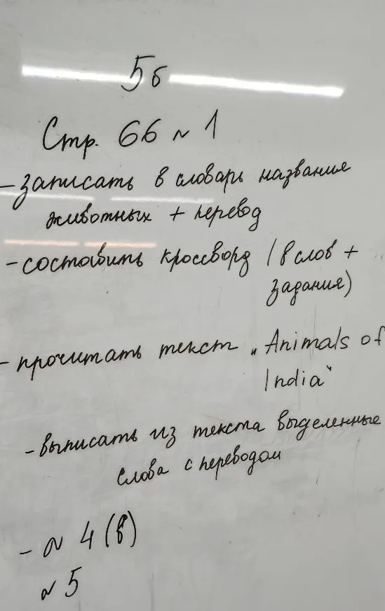Записать в словарь названия животных + перевод