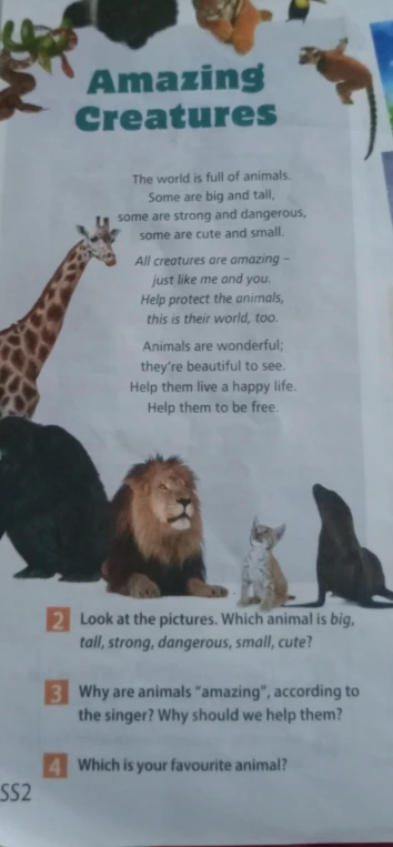 Why are animals "amazing", according to the singer? Why should we help them?