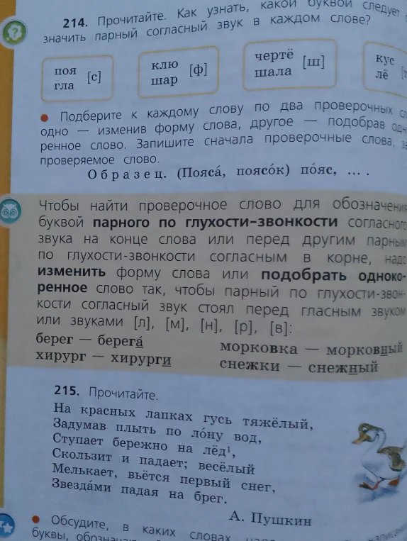 Подберите к каждому слову по два проверочных слова, одно — изменив форму слова, другое — подобрав однокоренное слово. Запишите сначала проверочные слова, затем проверяемое слово.