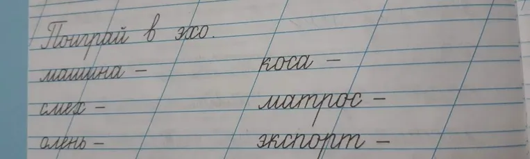 Прочитайте задание: Поиграй в эхо.