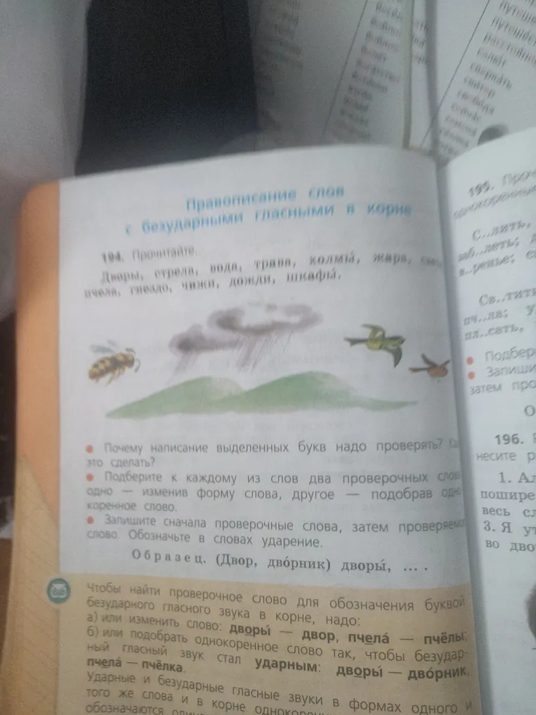 Прочитайте: Дворы, стрела, вода, трава, холмы, жара, снега, пчела, гнездо, чижи, дожди, шкафы. Почему написание выделенных букв надо проверять? Как это сделать?