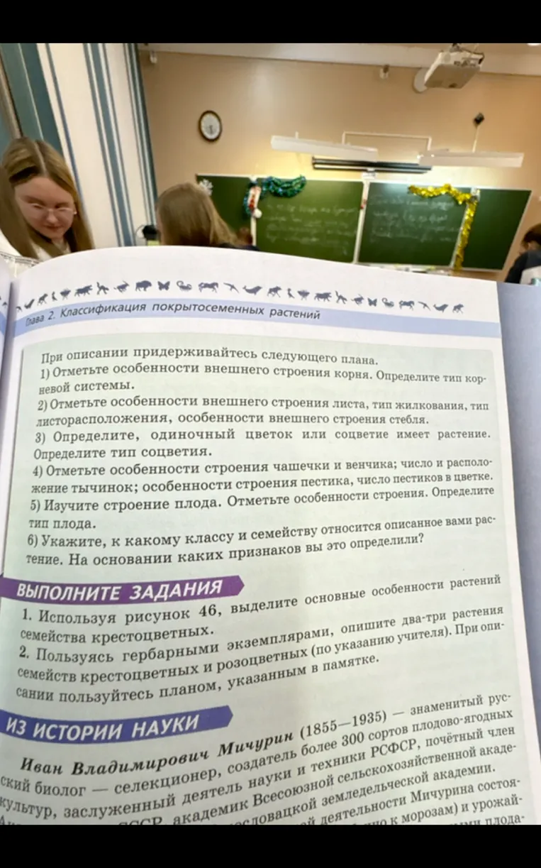 Используя рисунок 46, выделите основные особенности растений семейства крестоцветных.