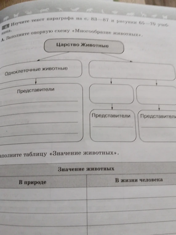 Заполните опорную схему «Многообразие животных»