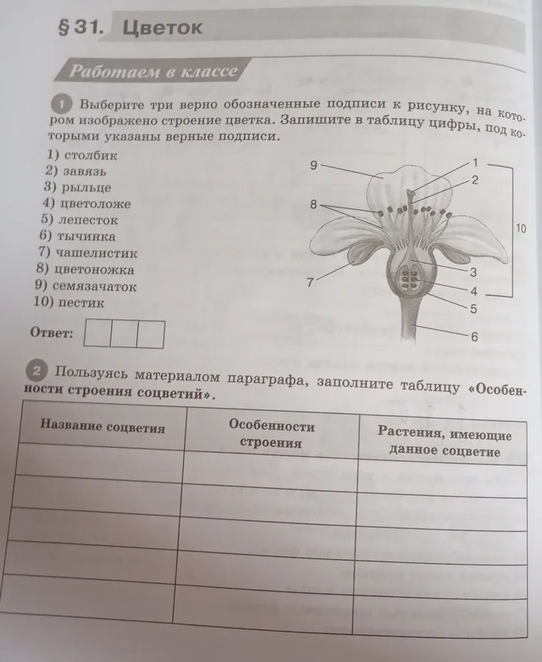 Выберите три верно обозначенные подписи к рисунку, на котором изображено строение цветка. Запишите в таблицу цифры, под которыми указаны верные подписи.