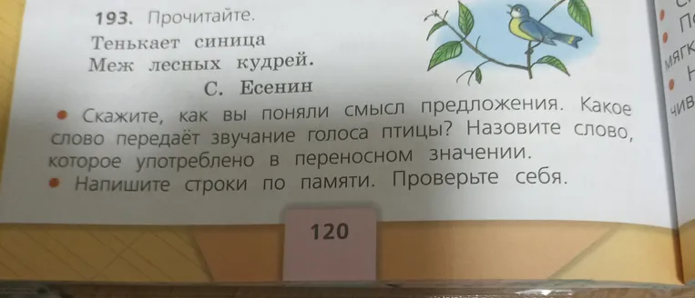 Прочитайте стихотворение: Тенькает синица Меж лесных кудрей. С. Есенин. Скажите, как вы поняли смысл предложения. Какое слово передаёт звучание голоса птицы? Назовите слово, которое употреблено в переносном значении.