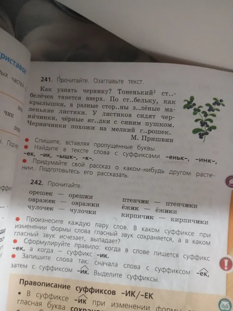 Прочитайте. Озаглавьте текст.