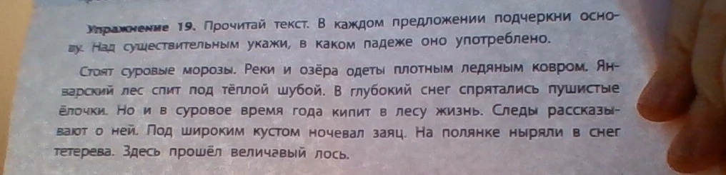 Прочитай текст. В каждом предложении подчеркни основы. Над существительным укажи, в каком падеже оно употреблено.