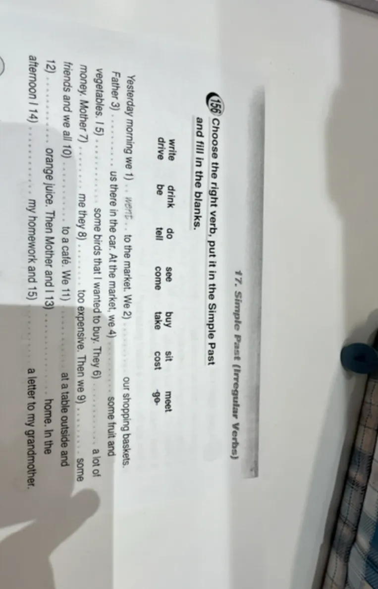 Choose the right verb, put it in the Simple Past and fill in the blanks.