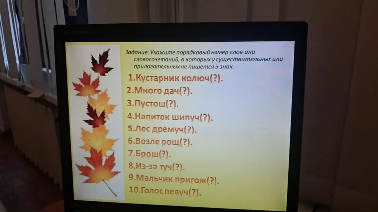 Укажите порядковый номер слов или словосочетаний, в которых у существительных или прилагательных не пишется Ь знак.