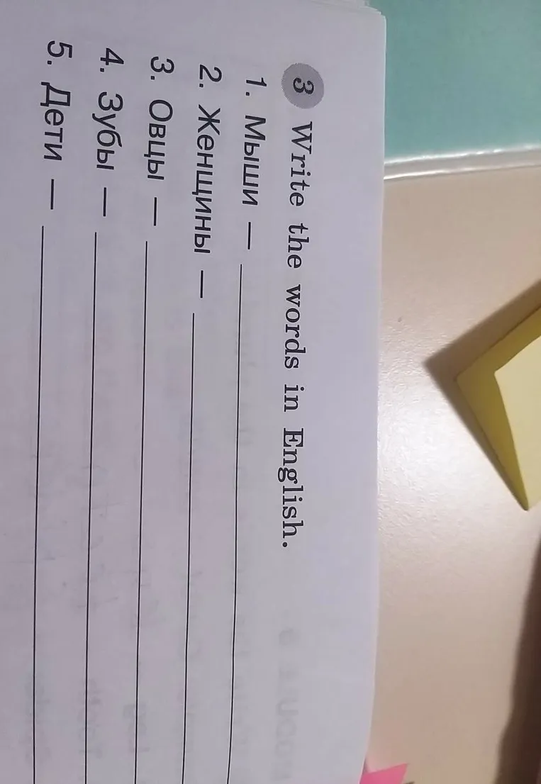 Write the words in English.