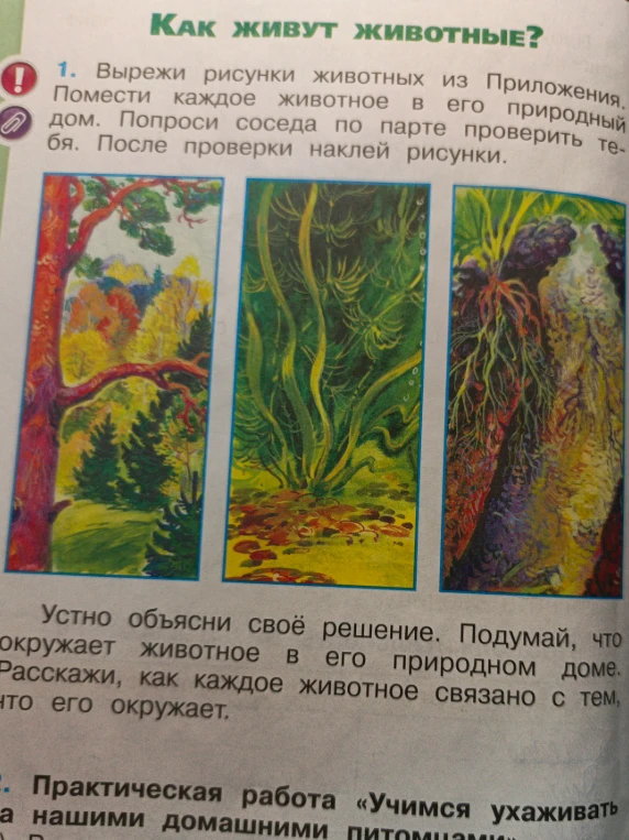 Вырежи рисунки животных из Приложения. Помести каждое животное в его природный дом.