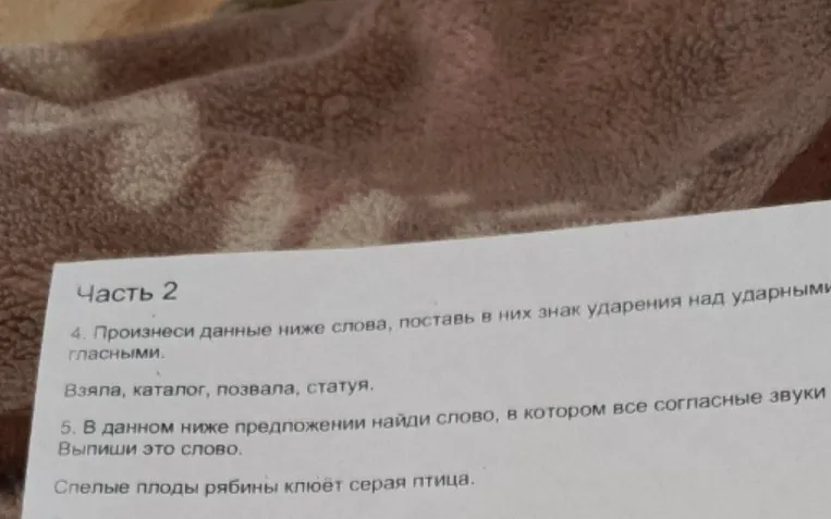 Произнеси данные ниже слова, поставь в них знак ударения над ударными гласными.