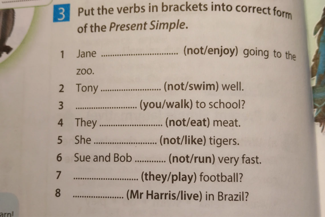 Поставьте глаголы в скобках в правильную форму Present Simple. (Put the verbs in brackets into correct form of the Present Simple.)
