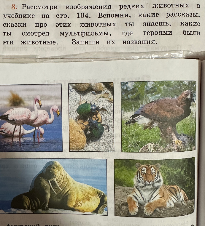 Рассмотри изображения редких животных в учебнике на стр. 104. Вспомни, какие рассказы, сказки про этих животных ты знаешь, какие ты смотрел мультфильмы, где героями были эти животные. Запиши их названия.