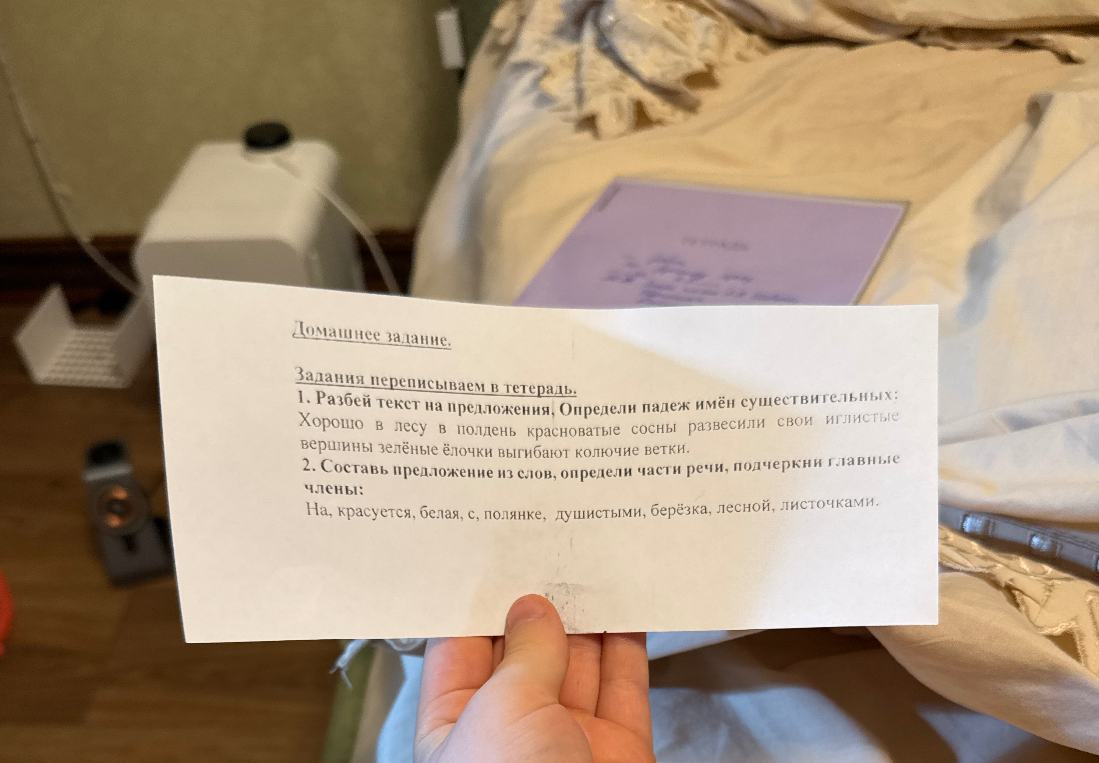 Разбей текст на предложения, Определи падеж имён существительных: Хорошо в лесу в полдень красноватые сосны развесили свои иглистые вершины зелёные ёлочки выгибают колючие ветки.
