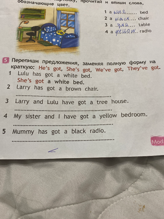 Перепишите предложения, заменяя полную форму на краткую: He’s got, She’s got, We’ve got, They’ve got.
