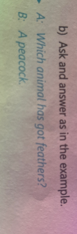 Ask and answer as in the example.