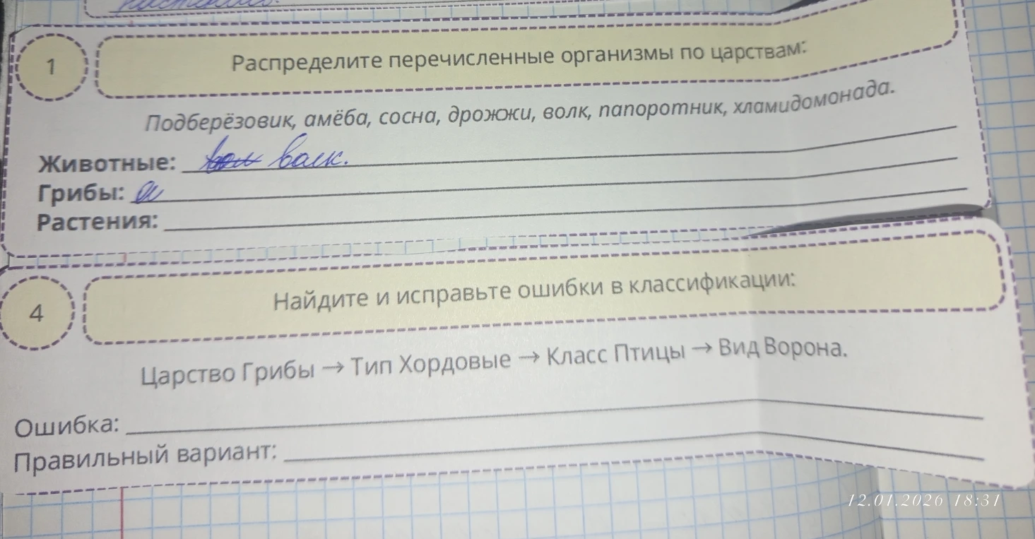 Распределите перечисленные организмы по царствам: Подберёзовик, амёба, сосна, дрожжи, волк, папоротник, хламидомонада.