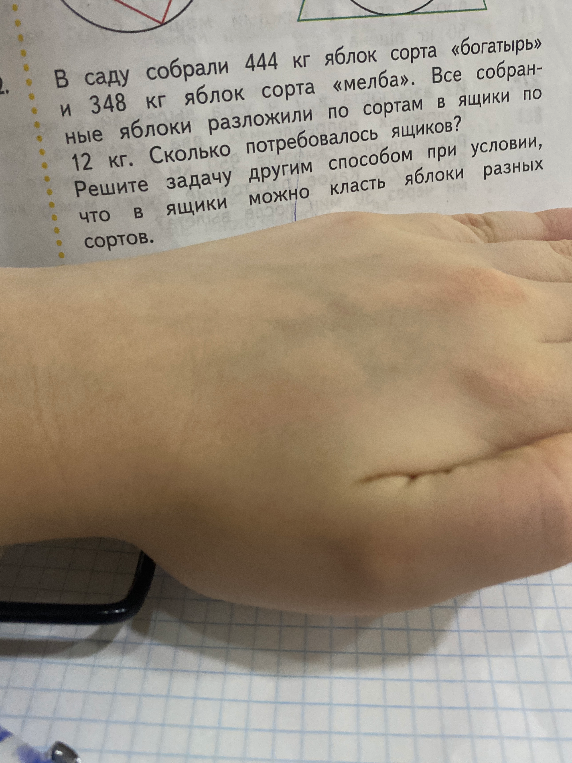 В саду собрали 444 кг яблок сорта «богатырь» и 348 кг яблок сорта «мелба». Все собранные яблоки разложили в ящики по 12 кг. Сколько потребовалось ящиков? Решите задачу другим способом при условии, что в ящики можно класть яблоки разных сортов.