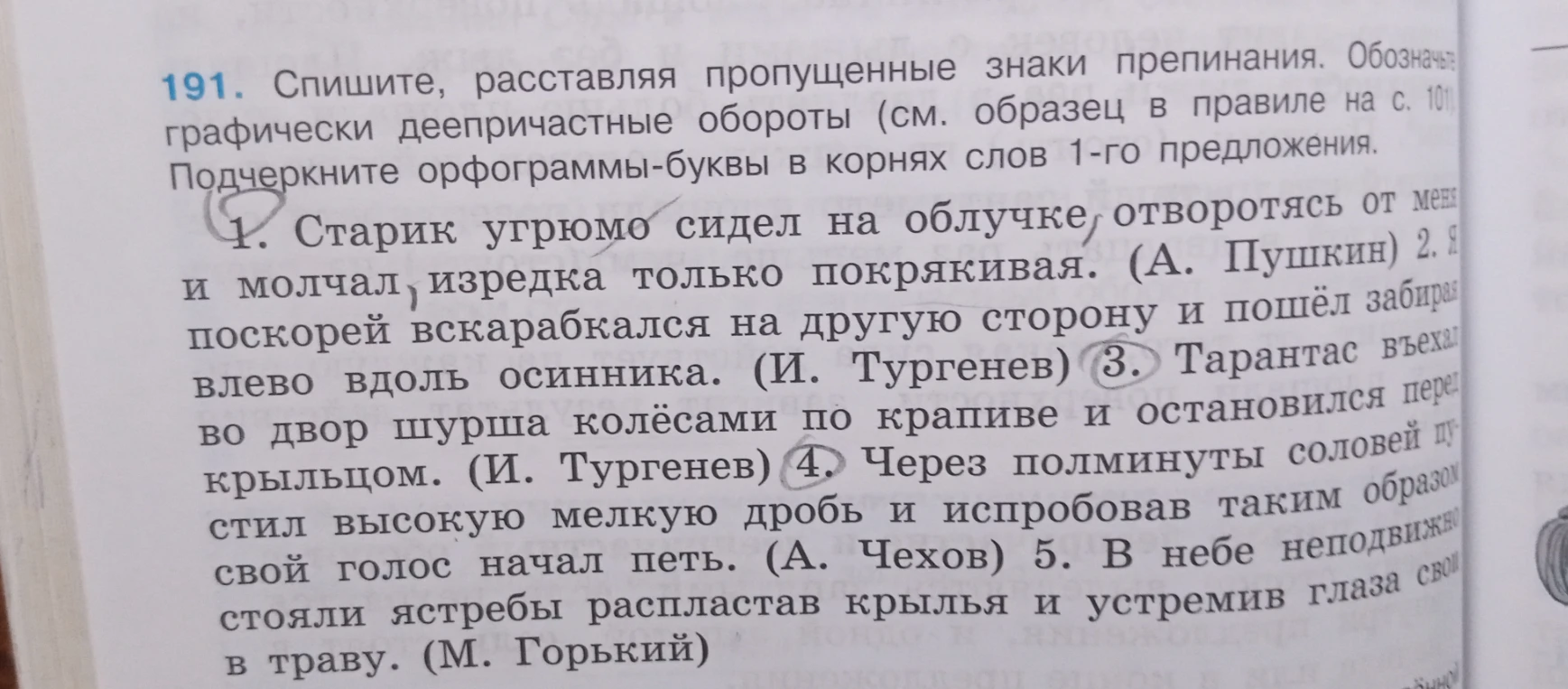 191. Спишите, расставляя пропущенные знаки препинания. Обозначьте графически деепричастные обороты. Подчеркните орфограммы-буквы в корнях слов 1-го предложения.