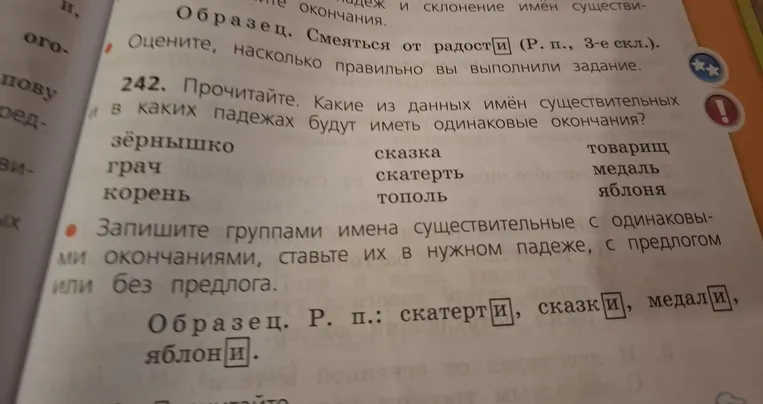 242. Прочитайте. Какие из данных имён существительных и в каких падежах будут иметь одинаковые окончания? зёрнышко, грач, корень, сказка, скатерть, тополь, товарищ, медаль, яблоня. Запишите группами имена существительные с одинаковыми окончаниями, ставьте их в нужном падеже, с предлогом или без предлога.