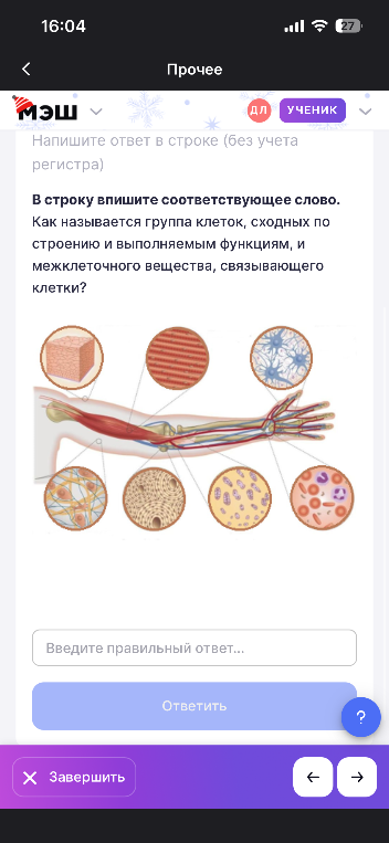 Как называется группа клеток, сходных по строению и выполняемым функциям, и межклеточного вещества, связывающего клетки?