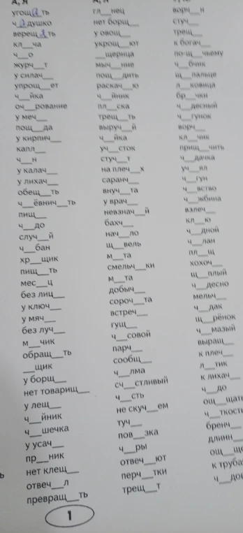 Вставьте пропущенные буквы а или я в словах.