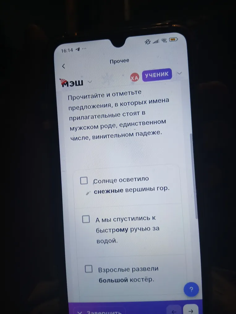 Прочитайте и отметьте предложения, в которых имена прилагательные стоят в мужском роде, единственном числе, винительном падеже.
