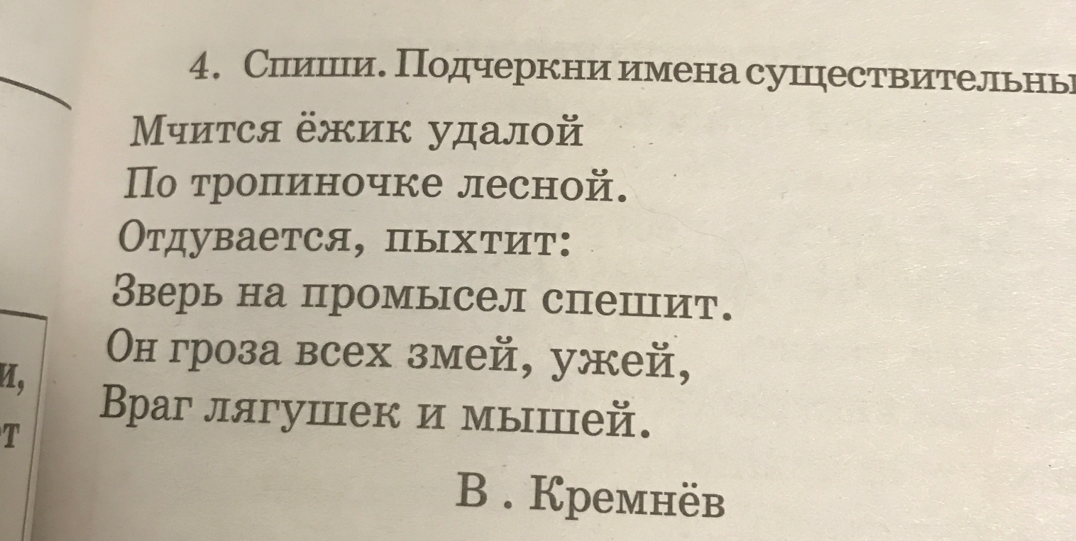 Спиши. Подчеркни имена существительные.
