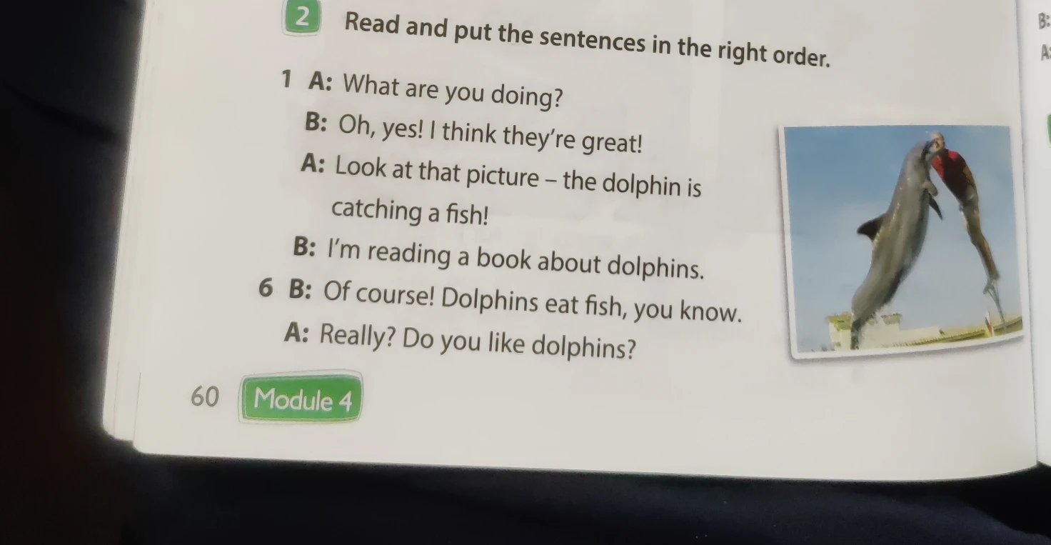 Read and put the sentences in the right order.
