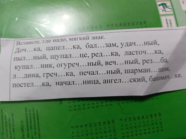 Вставьте, где надо, мягкий знак. Доч...ка, цапел...ка, бал...зам, удач...ный, пыл...ный, щупал...це, ред...ка, ласточ...ка, купал...ник, огуреч...ный, веч...ный, рез...ба, л...дина, греч...ка, печал...ный, шарман...щик, постел...ка, начал...ница, ангел...ский, башмач...ки.