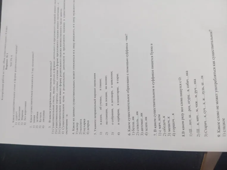 Выполните задания теста по теме 'Имя существительное'.