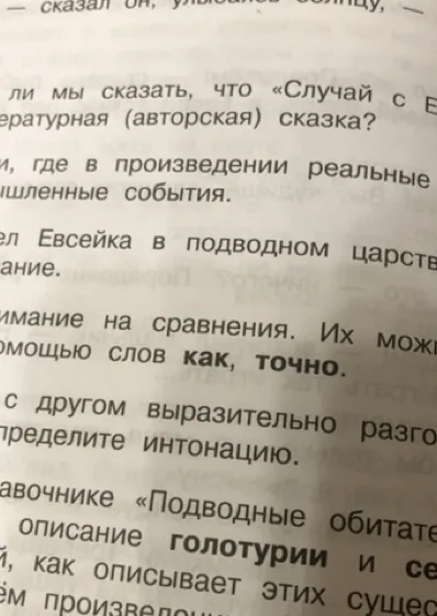 Можем ли мы сказать, что «Случай с Евсейкой» — это литературная (авторская) сказка?
