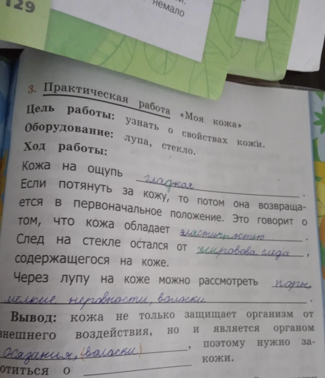 3. Практическая работа «Моя кожа». Цель работы: узнать о свойствах кожи.