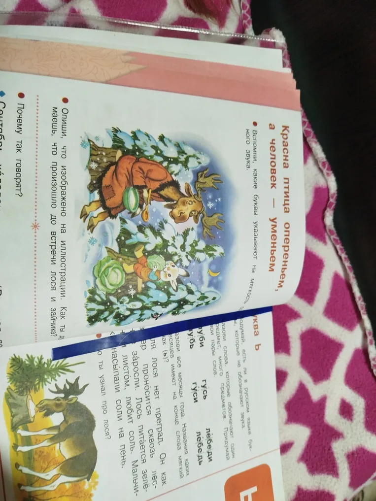 Вспомни, какие буквы указывают на мягкость согласного звука. Опиши, что изображено на иллюстрации. Почему так говорят (про пословицу)?