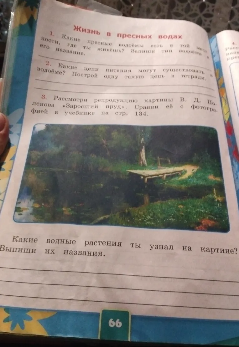 Какие водные растения ты узнал на картине? Выпиши их названия.