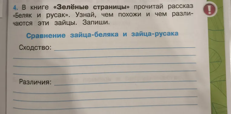 В книге «Зелёные страницы» прочитай рассказ «Беляк и русак». Узнай, чем похожи и чем различаются эти зайцы. Запиши.