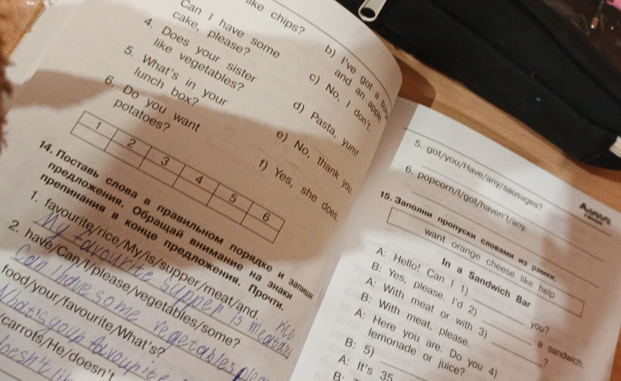 14. Поставь слова в правильном порядке и запиши предложения. 5. got/you/Have/any/sausages? 6. popcorn/I/got/haven't/any.