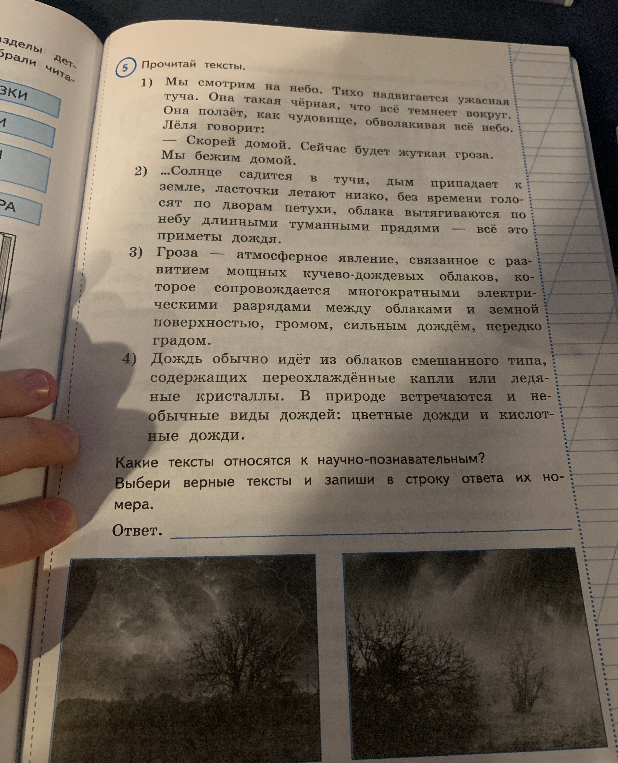 Какие тексты относятся к научно-познавательным? Выбери верные тексты и запиши в строку ответа их номера.